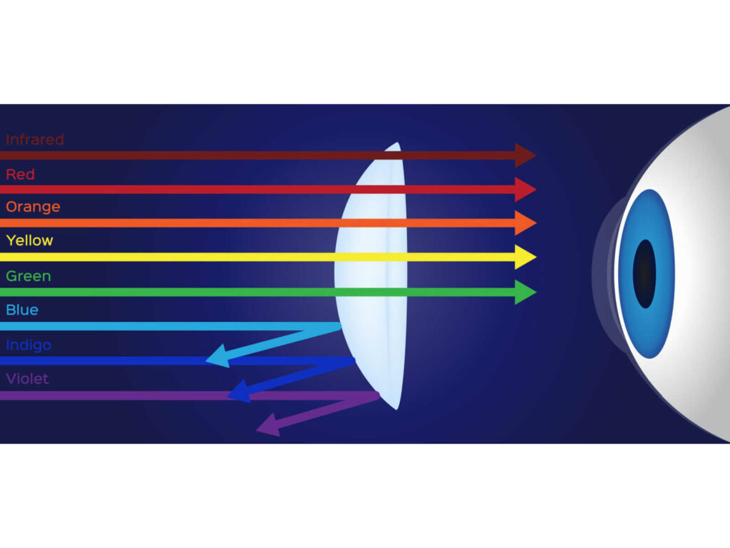 Graphical representation of blue light blocking contact lenses. Graphic shows infrared, red, orange, yellow, and green light passing through the lens, while blue, indigo, and violet light is reflected.